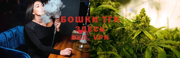 ALPHA-PVP Гусев