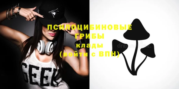 ALPHA-PVP Гусев
