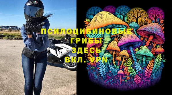 ALPHA-PVP Гусев