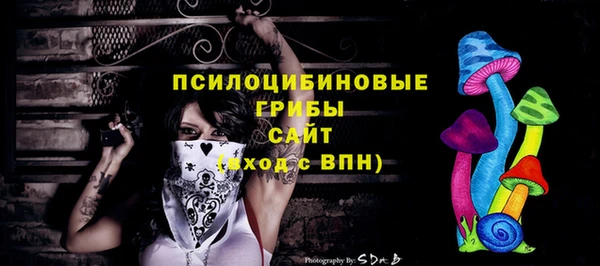 синтетический гашиш Гусь-Хрустальный