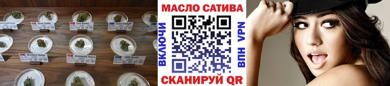 Купить закладки  Андреаполь  Дистиллят ТГК THC oil 