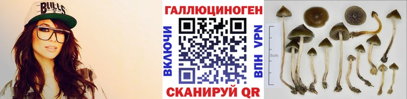 Купить закладки  Андреаполь  Галлюциногенные грибы мицелий 
